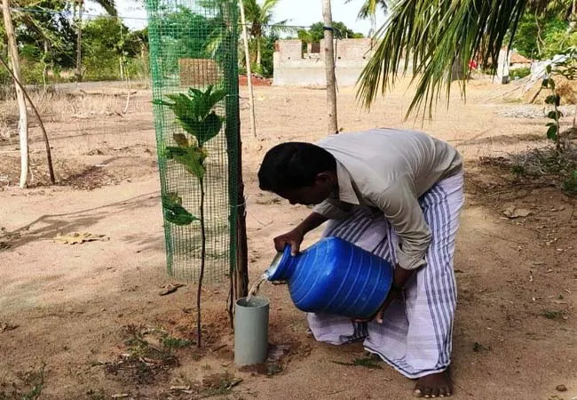  A farmer who pipes water to the roots of a tree.  Water is a necessity, a demand